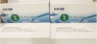 ELISA试剂盒